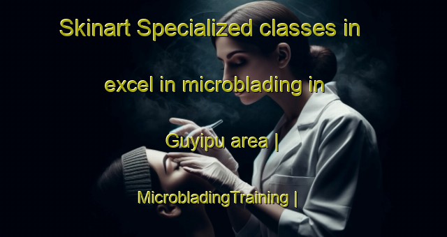 Skinart Specialized classes in excel in microblading in Guyipu area | MicrobladingTraining | MicrobladingClasses | SkinartTraining-China